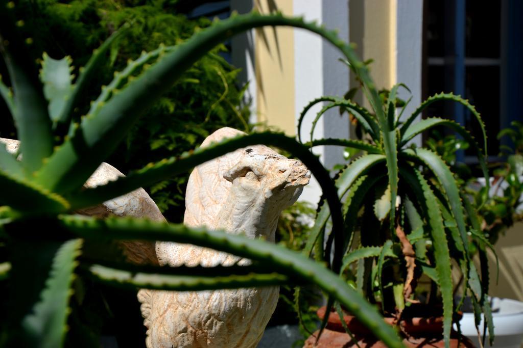 Zephyros Hotel Kamári