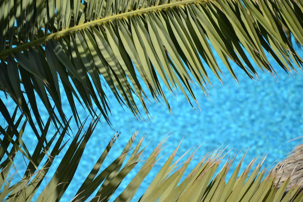 Zephyros Hotel 3*