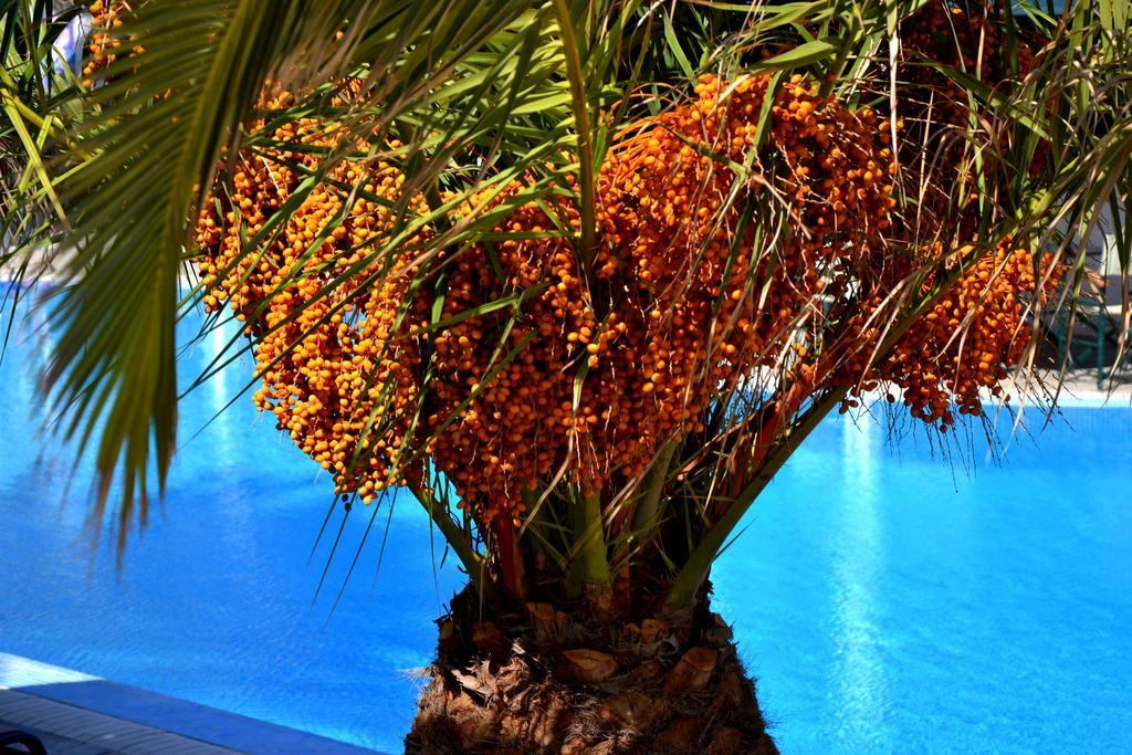 Hotel Zephyros 3*